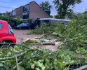 Ravage in straat door storm