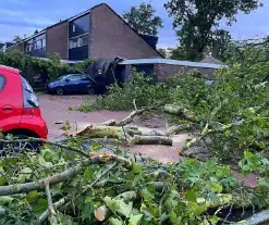 Ravage in straat door storm