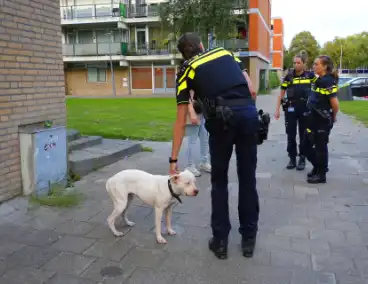 Politie druk met loslopende hond van beschonken bewoner