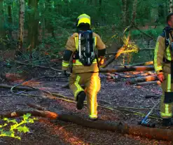 Brand in bos beperkt gebleven