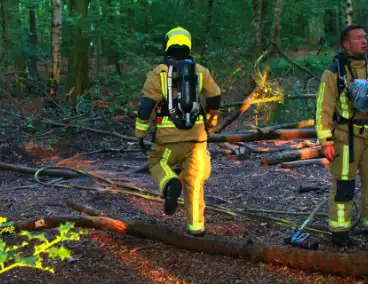 Brand in bos beperkt gebleven