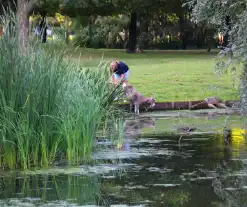 Kinderboerderijmedewerker redt te water geraakte geit