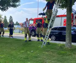 Brandweer redt kraai uit benarde situatie in boom