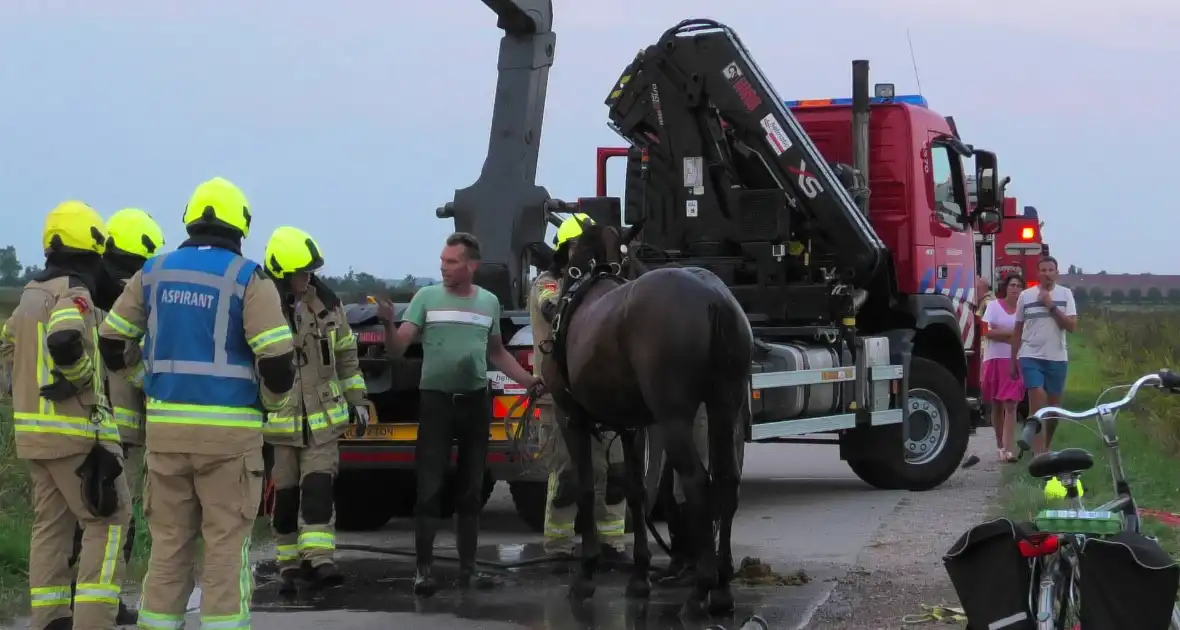 Paard word met speciale broek uit sloot getakeld - Foto 8