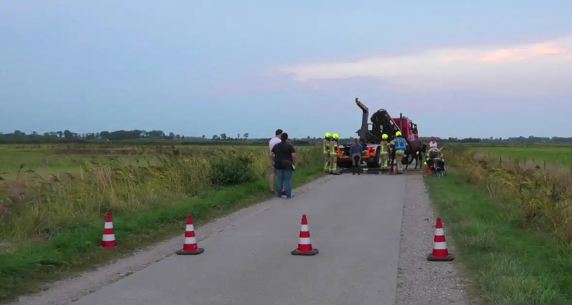 Paard word met speciale broek uit sloot getakeld - Foto 9