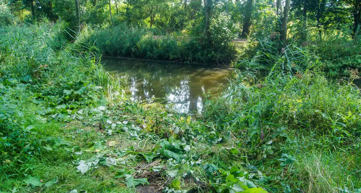 Kinderen ontdekken te water geraakte oude volvo - Foto 6