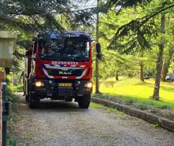 Brandweer ingezet vanwege duinbrand