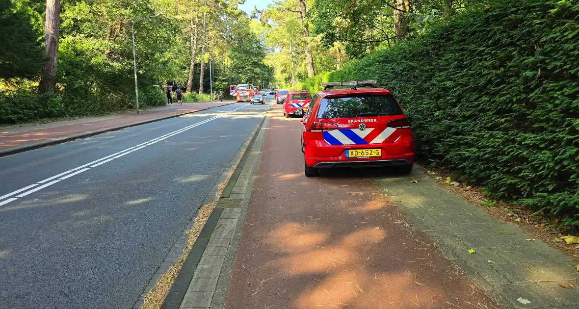 Brandweer ingezet vanwege duinbrand - Foto 4