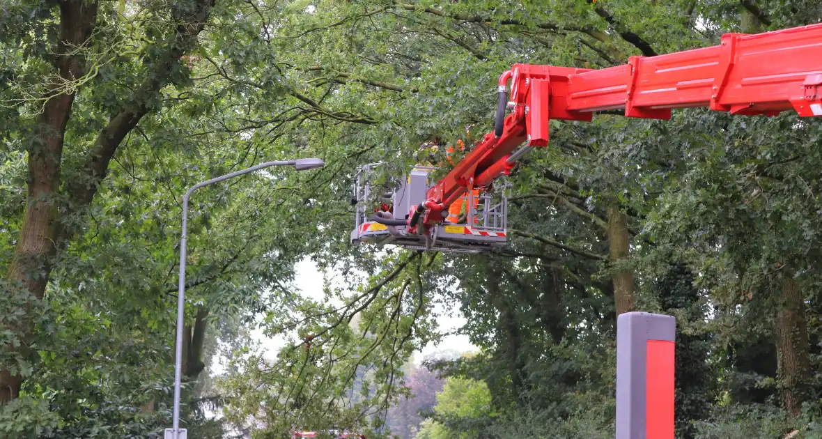 Gevaarlijke tak veroorzaakt wegafsluiting - Foto 3