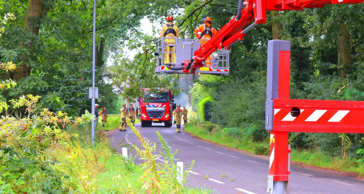 Gevaarlijke tak veroorzaakt wegafsluiting - Foto 4