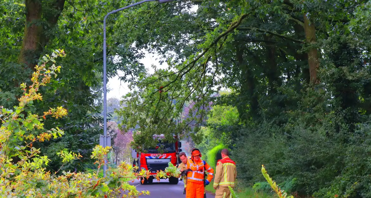 Gevaarlijke tak veroorzaakt wegafsluiting - Foto 5