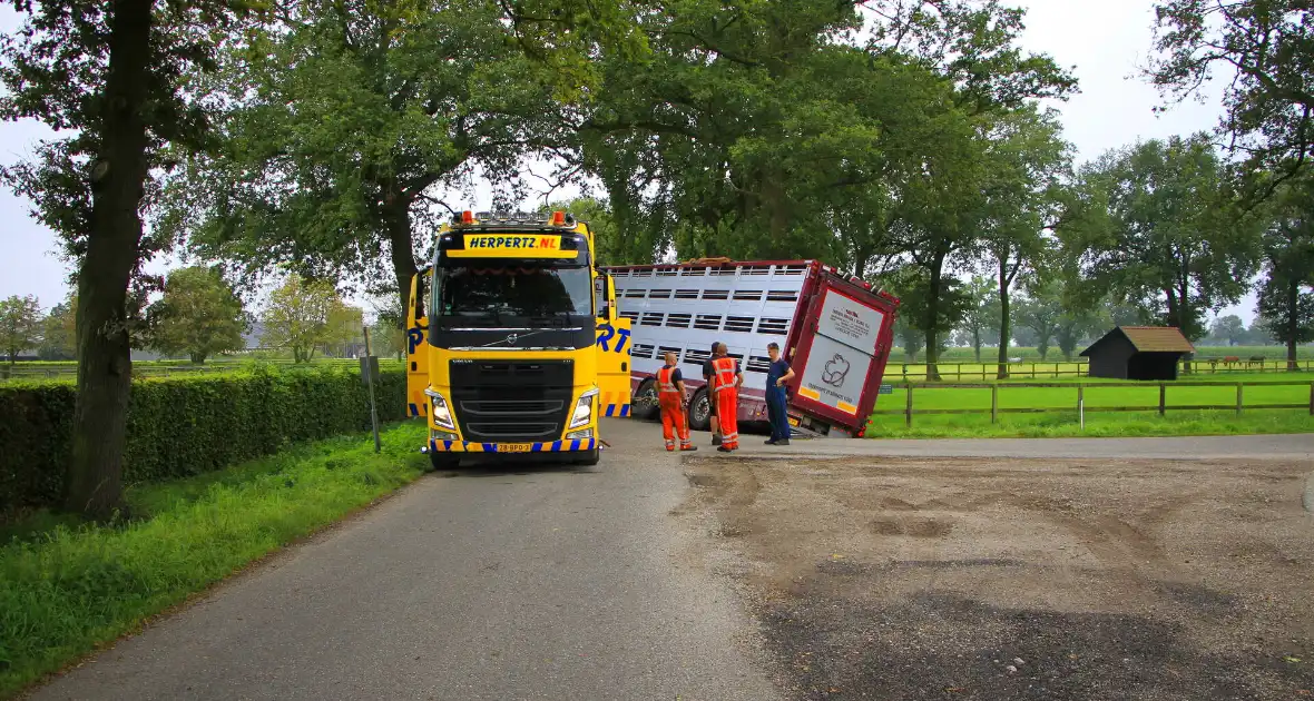 Vrachtwagen met biggen belandt in greppel