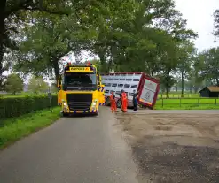 Vrachtwagen met biggen belandt in greppel