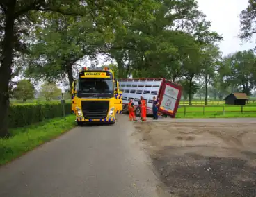 Vrachtwagen met biggen belandt in greppel