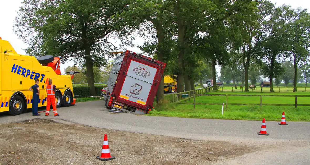 Vrachtwagen met biggen belandt in greppel - Foto 1