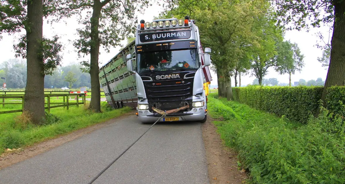 Vrachtwagen met biggen belandt in greppel - Foto 2