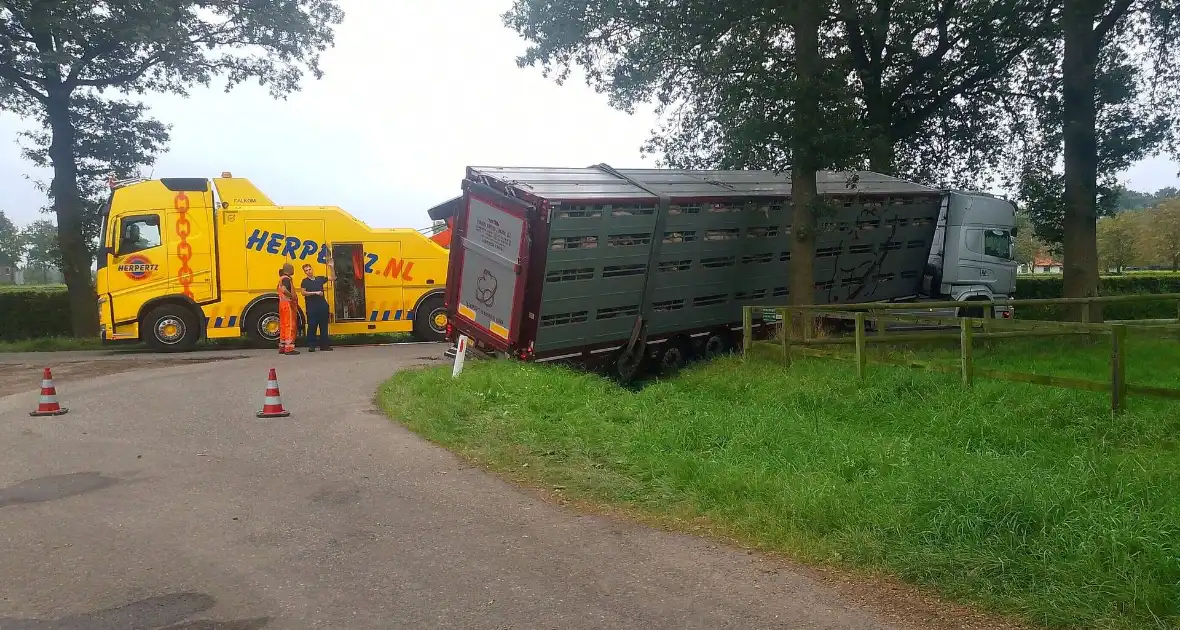 Vrachtwagen met biggen belandt in greppel - Foto 5