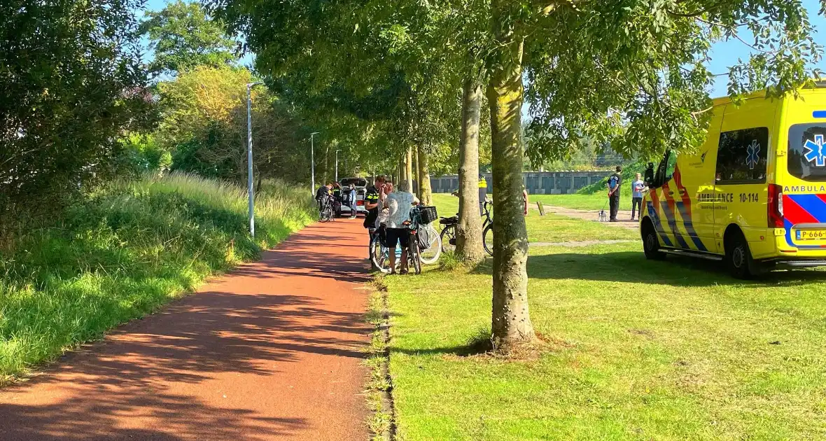 Meerdere personen mishandelen persoon in park - Foto 2