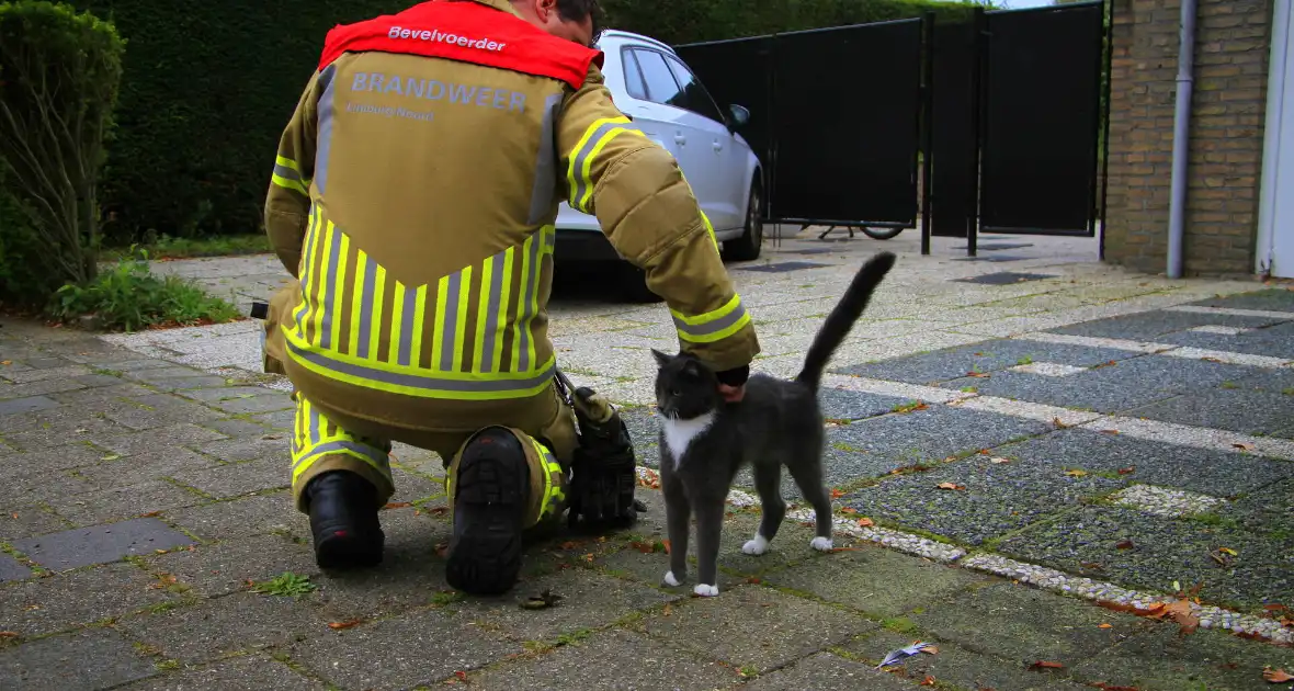 Kat na dagenlang vastzitten gered door brandweer - Foto 1