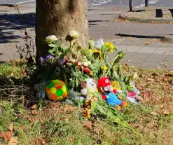 12-jarige jongen overleden na aanrijding met vrachtwagen, herdenkingsplek ingericht