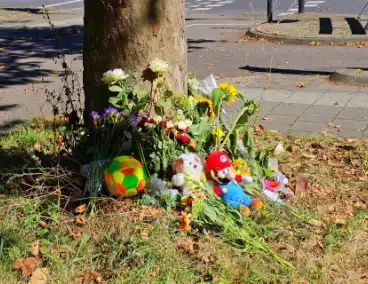 12-jarige jongen overleden na aanrijding met vrachtwagen, herdenkingsplek ingericht