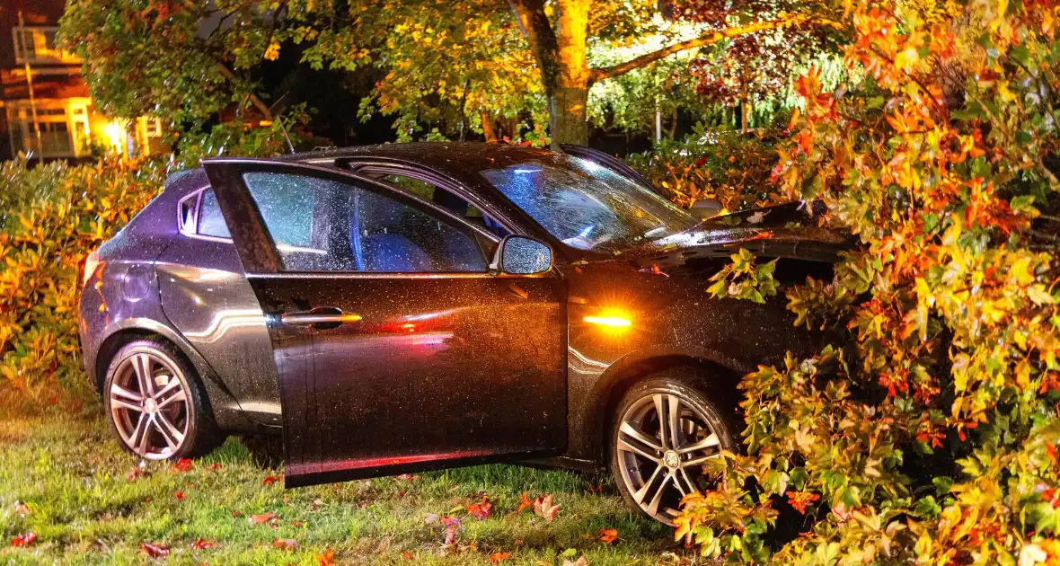 Boom doormidden nadat auto van weg raakt