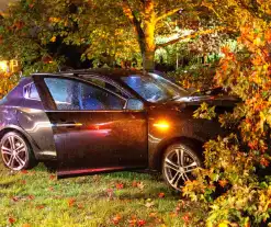 Boom doormidden nadat auto van weg raakt