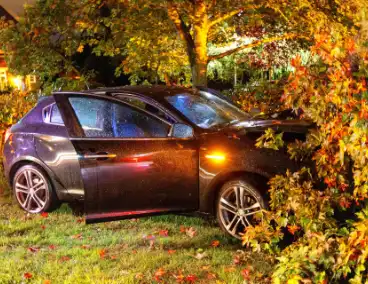 Boom doormidden nadat auto van weg raakt