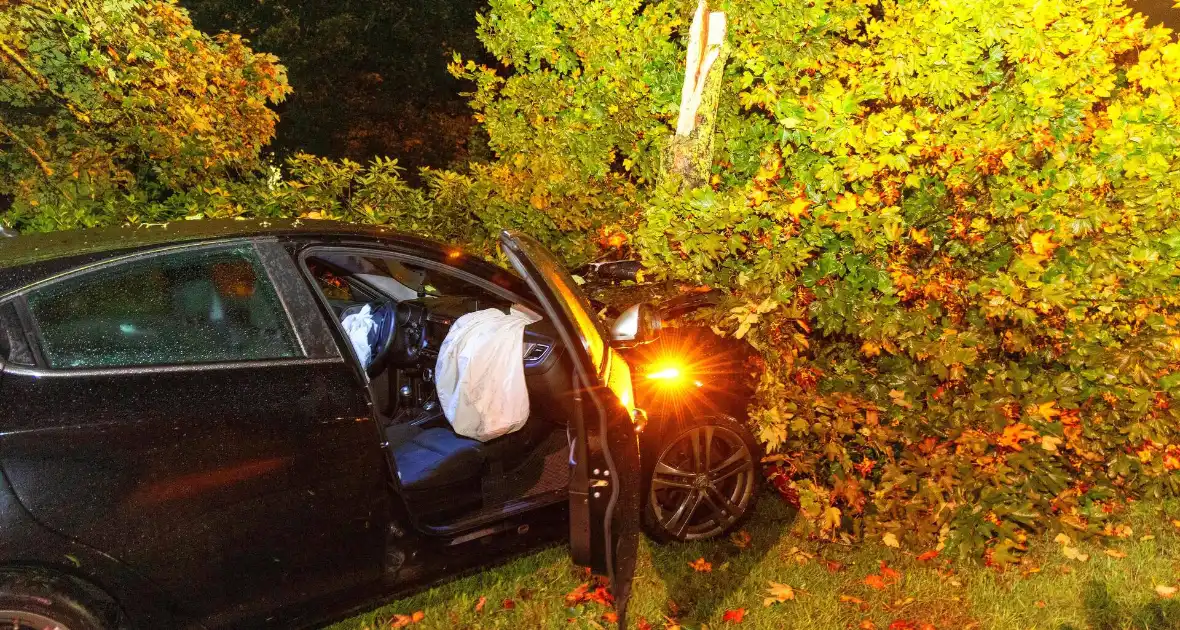 Boom doormidden nadat auto van weg raakt - Foto 11