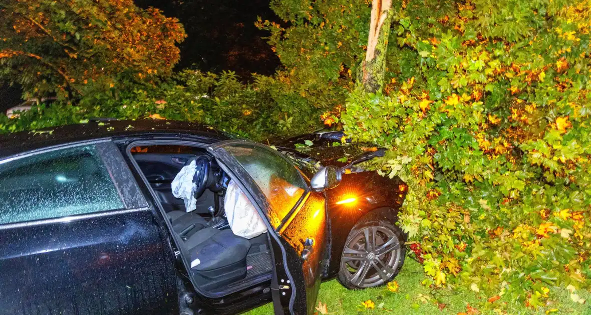 Boom doormidden nadat auto van weg raakt - Foto 12