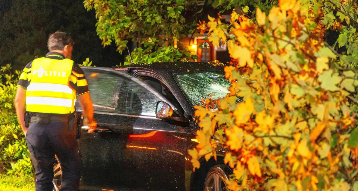 Boom doormidden nadat auto van weg raakt - Foto 14