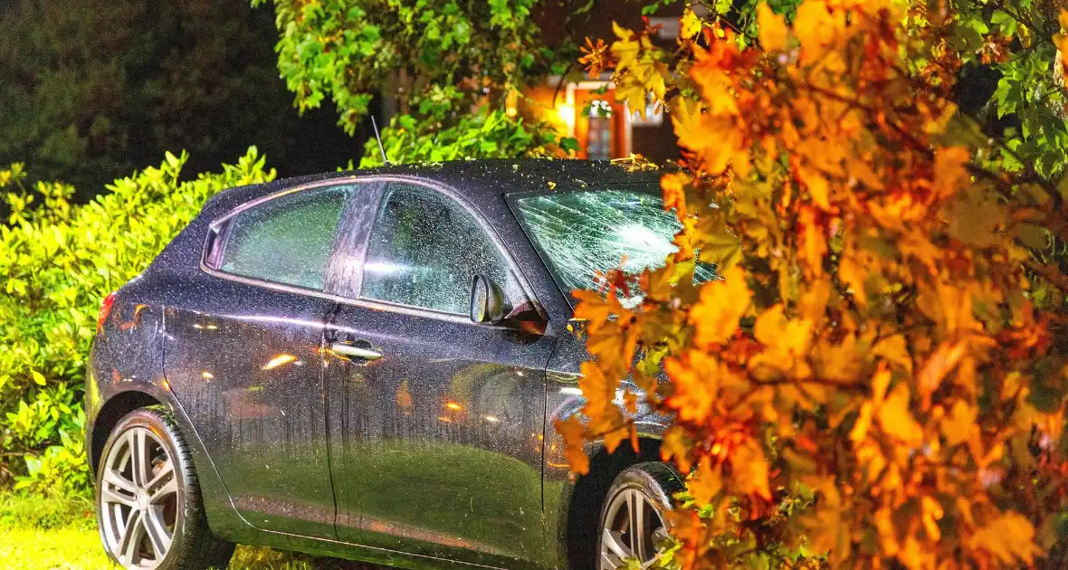 Boom doormidden nadat auto van weg raakt - Foto 15