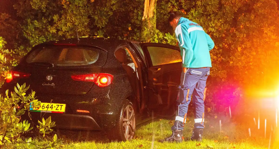 Boom doormidden nadat auto van weg raakt - Foto 18