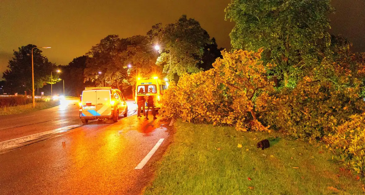 Boom doormidden nadat auto van weg raakt - Foto 2