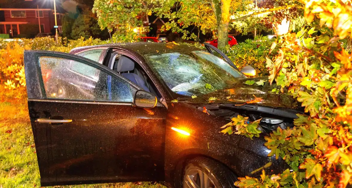 Boom doormidden nadat auto van weg raakt - Foto 7