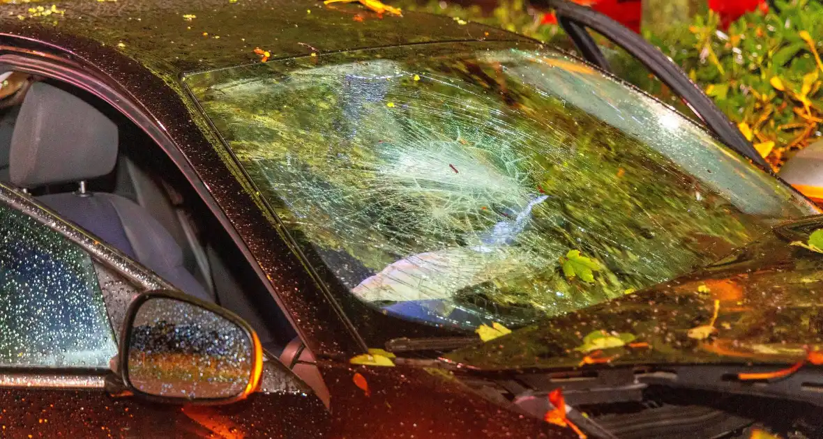 Boom doormidden nadat auto van weg raakt - Foto 8