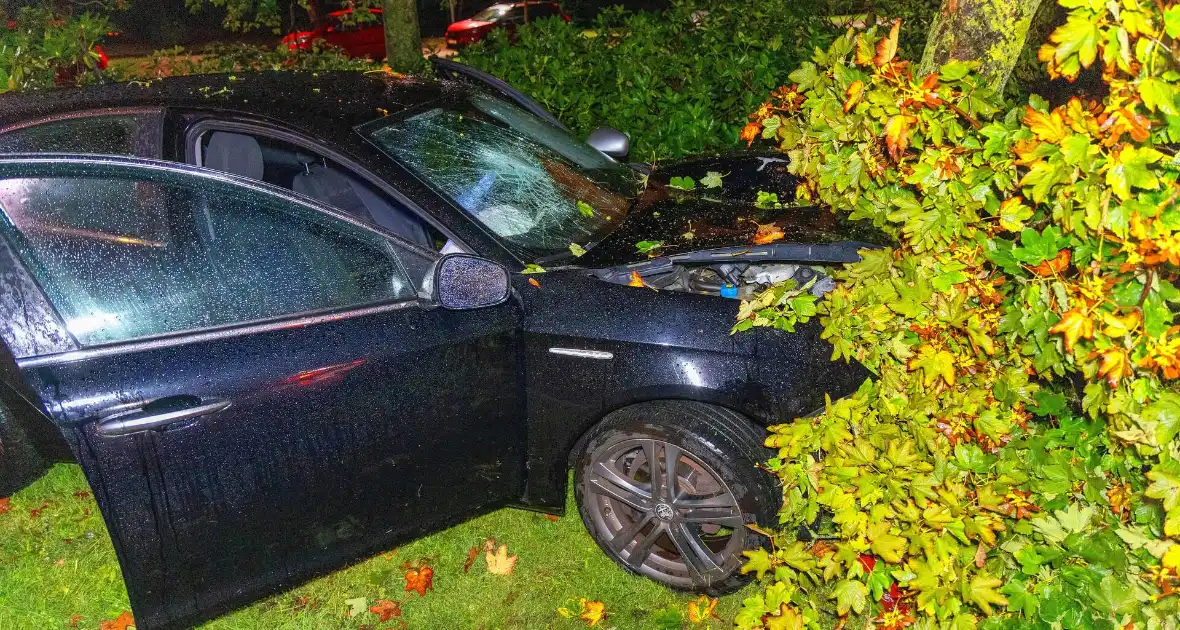 Boom doormidden nadat auto van weg raakt - Foto 9