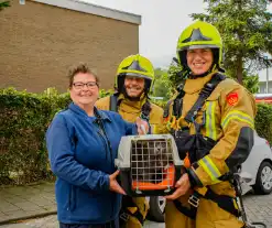 Buurt belt brandweer voor kat in de boom