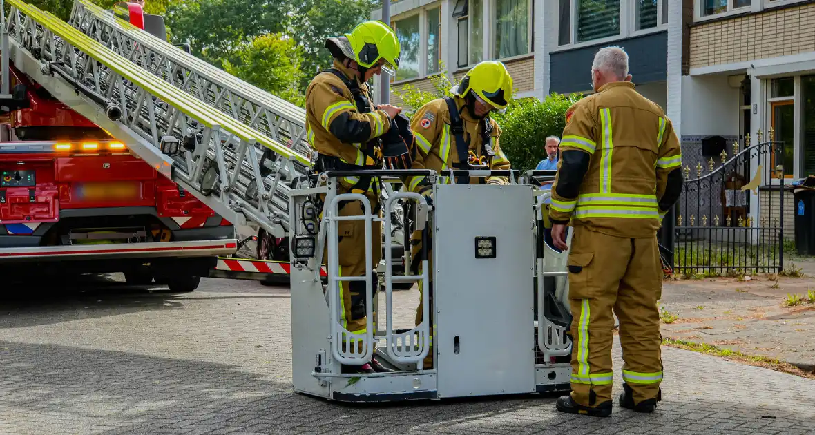 Buurt belt brandweer voor kat in de boom - Foto 1