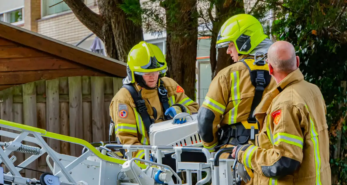 Buurt belt brandweer voor kat in de boom - Foto 4