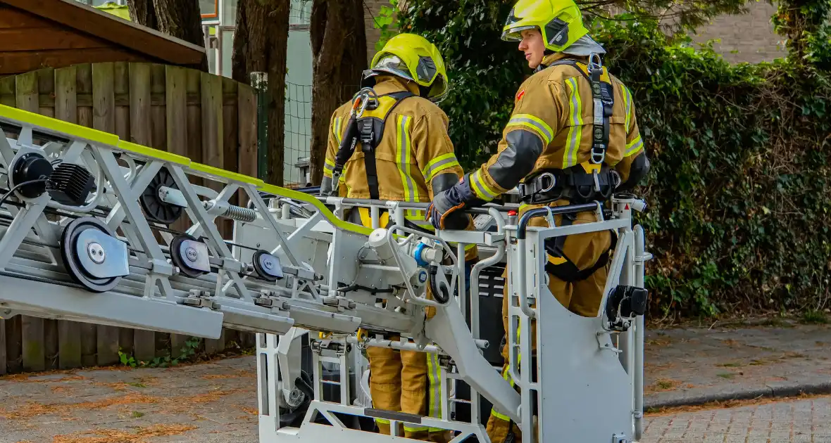 Buurt belt brandweer voor kat in de boom - Foto 5