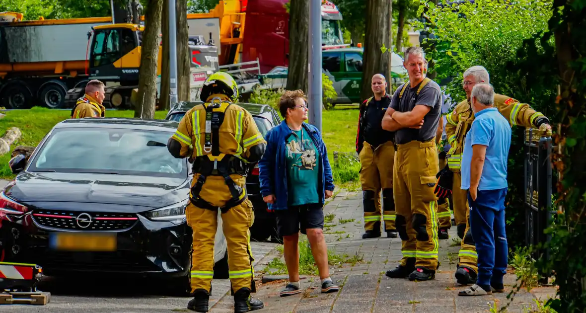 Buurt belt brandweer voor kat in de boom - Foto 6