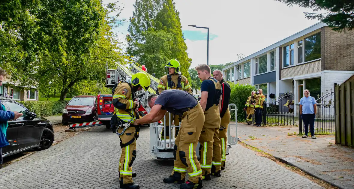 Buurt belt brandweer voor kat in de boom - Foto 7