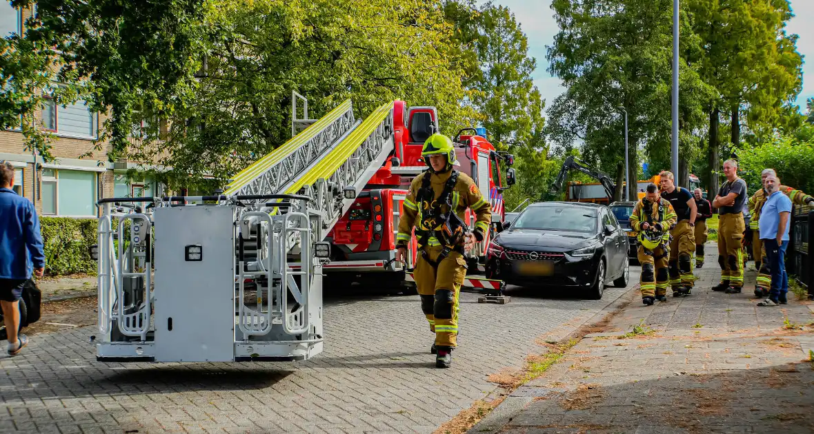 Buurt belt brandweer voor kat in de boom - Foto 8