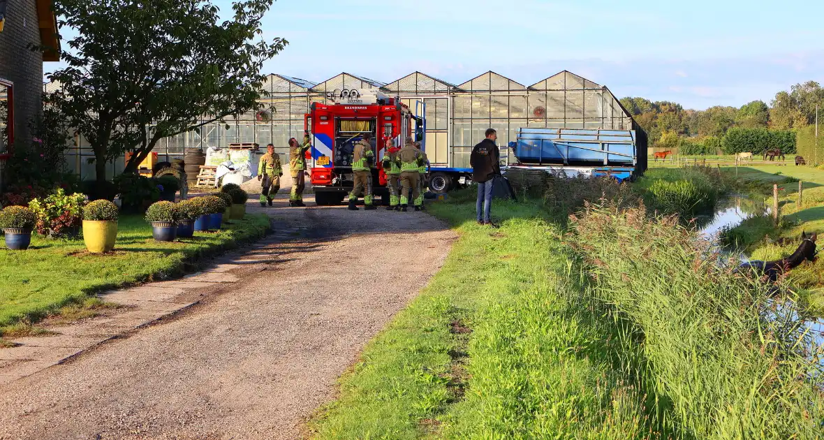 Paard gered uit modderige sloot na spannende reddingsactie - Foto 3