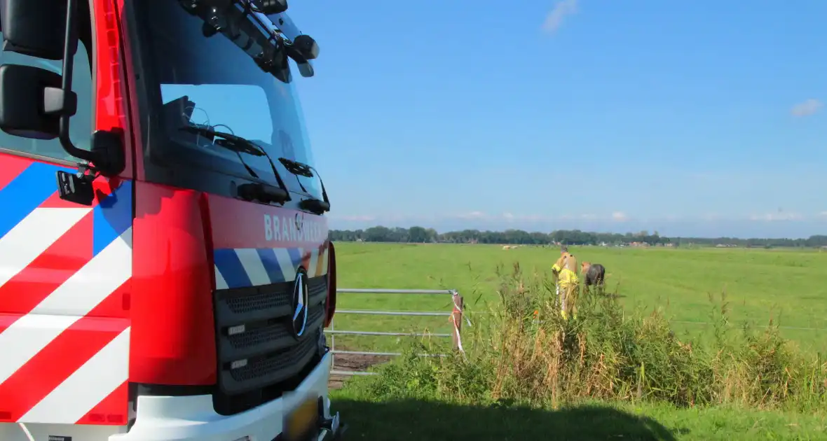 Brandweer haalt Stier uit sloot - Foto 11