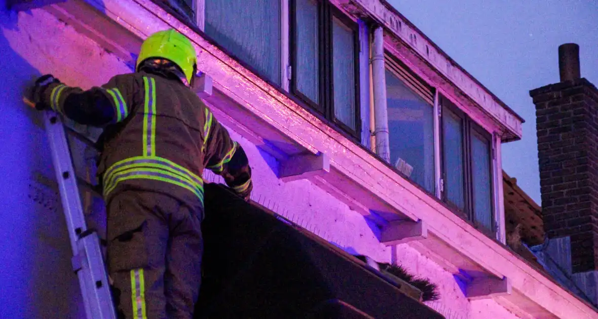 Brandweer druk met kat die op dak zit - Foto 2