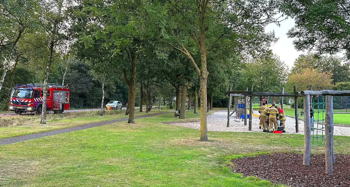 Jongedame in schommel uit benarde positie bevrijdt - Foto 2