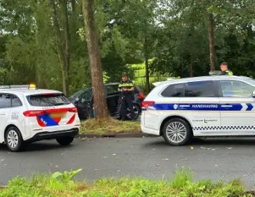 Bestuurder verliest controle en botst tegen boom