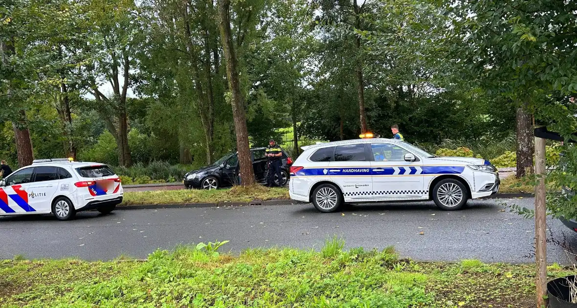 Bestuurder verliest controle en botst tegen boom - Foto 2